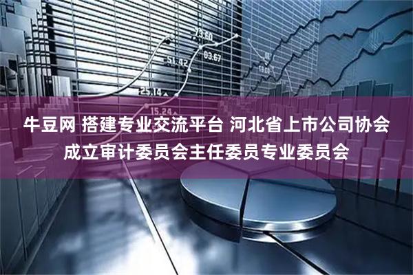 牛豆网 搭建专业交流平台 河北省上市公司协会成立审计委员会主任委员专业委员会