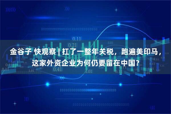 金谷子 快观察 | 扛了一整年关税，跑遍美印马，这家外资企业为何仍要留在中国？